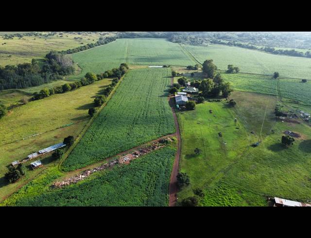 17HA FARM FOR SALE IN MIDDELBURG RURAL